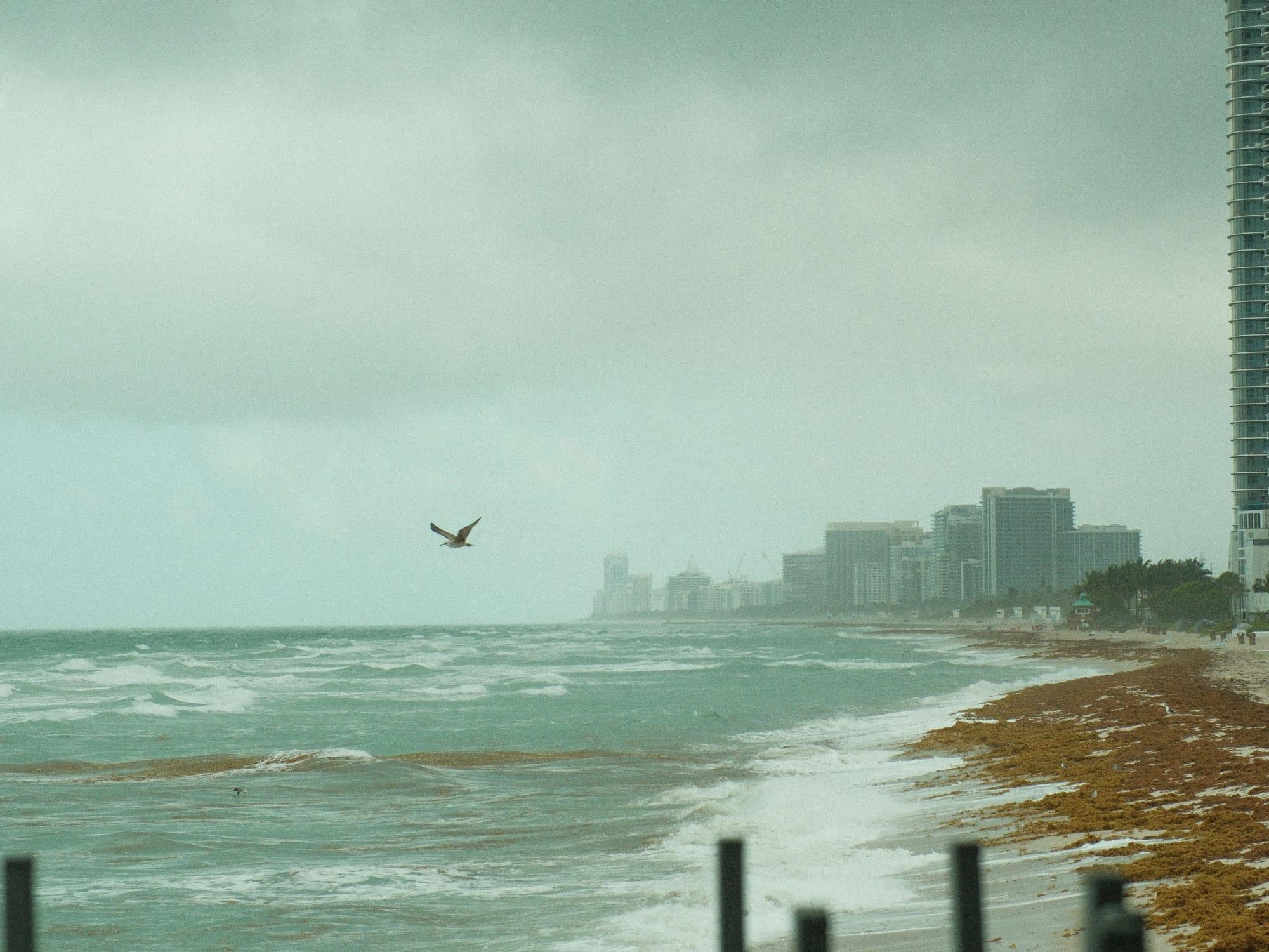 What to Do in Florida When It Rains With Kids (2026)